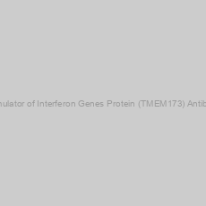 Image of Stimulator of Interferon Genes Protein (TMEM173) Antibody